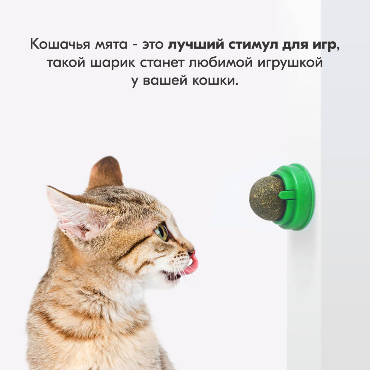 Мятный шарик для кошек 3 см, зеленый, Pets & Friends PF-BALL-05 – купить в  Москве, цены в интернет-магазинах на Мегамаркет