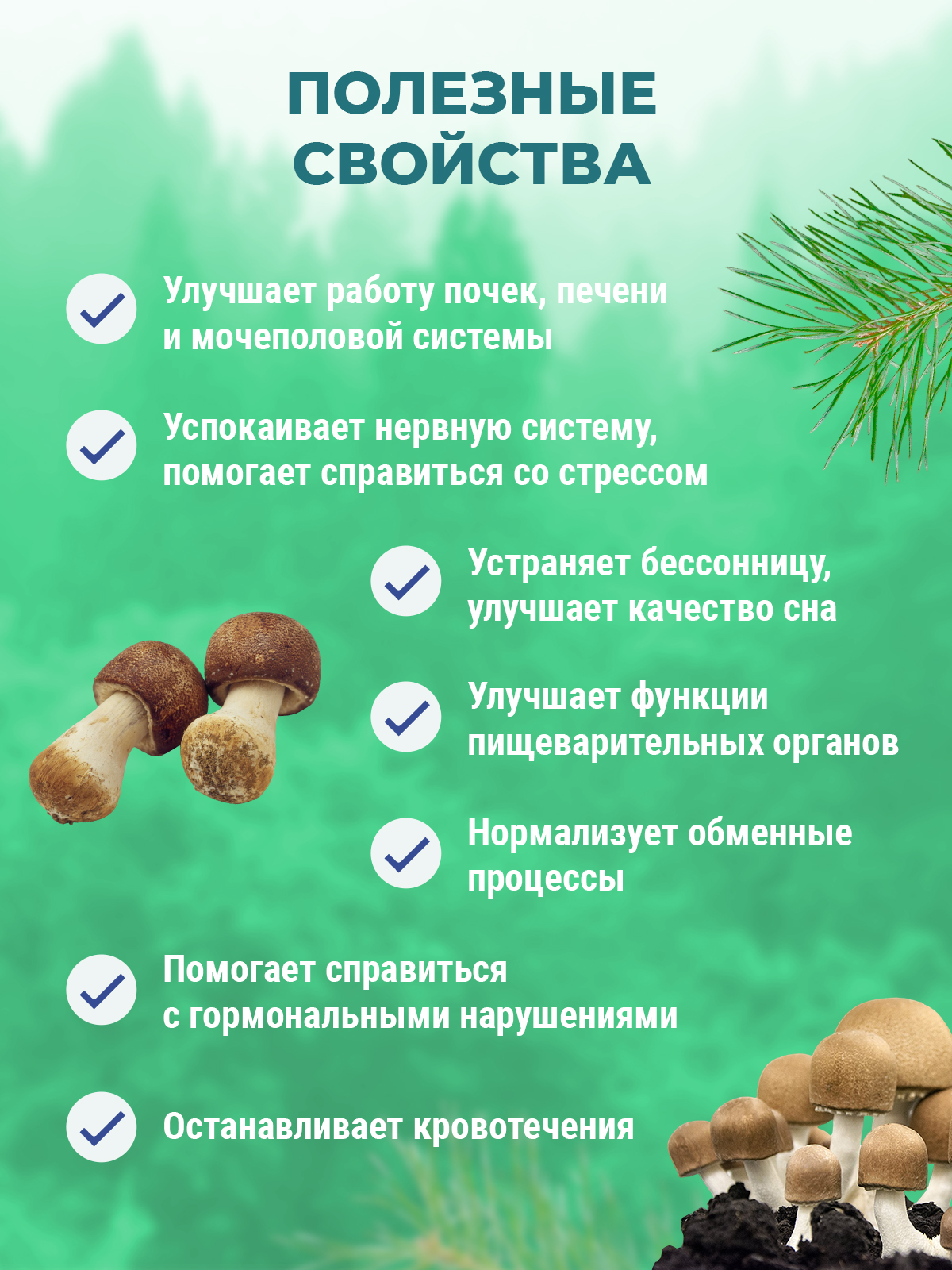 Натуральный грибной препарат Грибная аптека Агарик капсулы 60 шт. – купить  в Москве, цены в интернет-магазинах на Мегамаркет