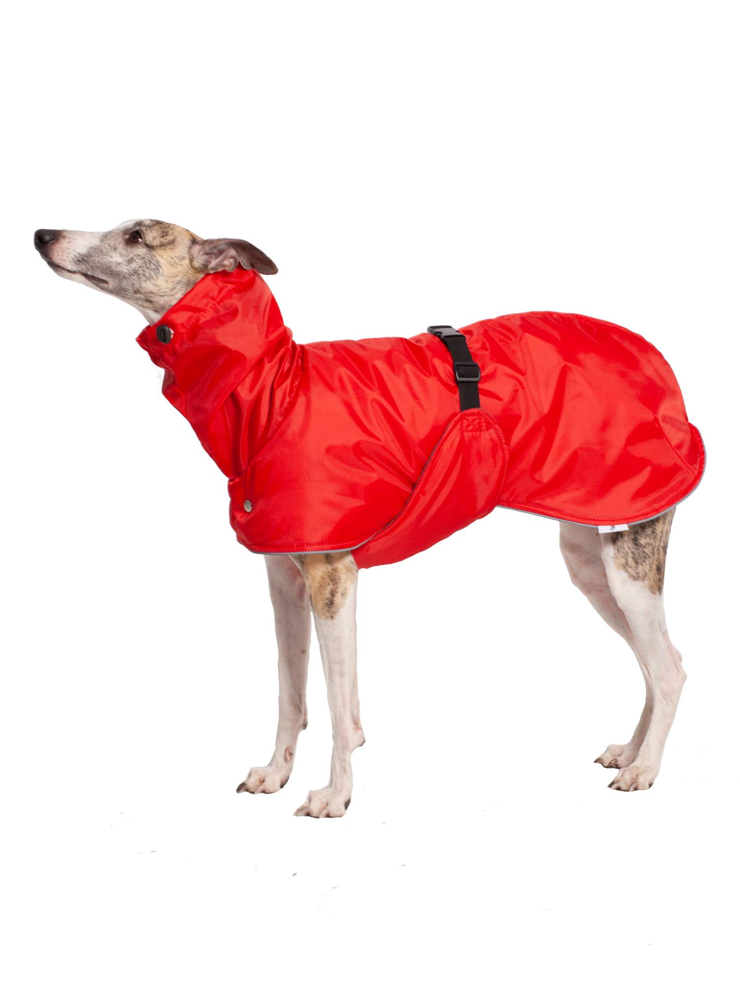 Попона для собак Монморанси, Уиппет, красный, серый, длина спины 53 см