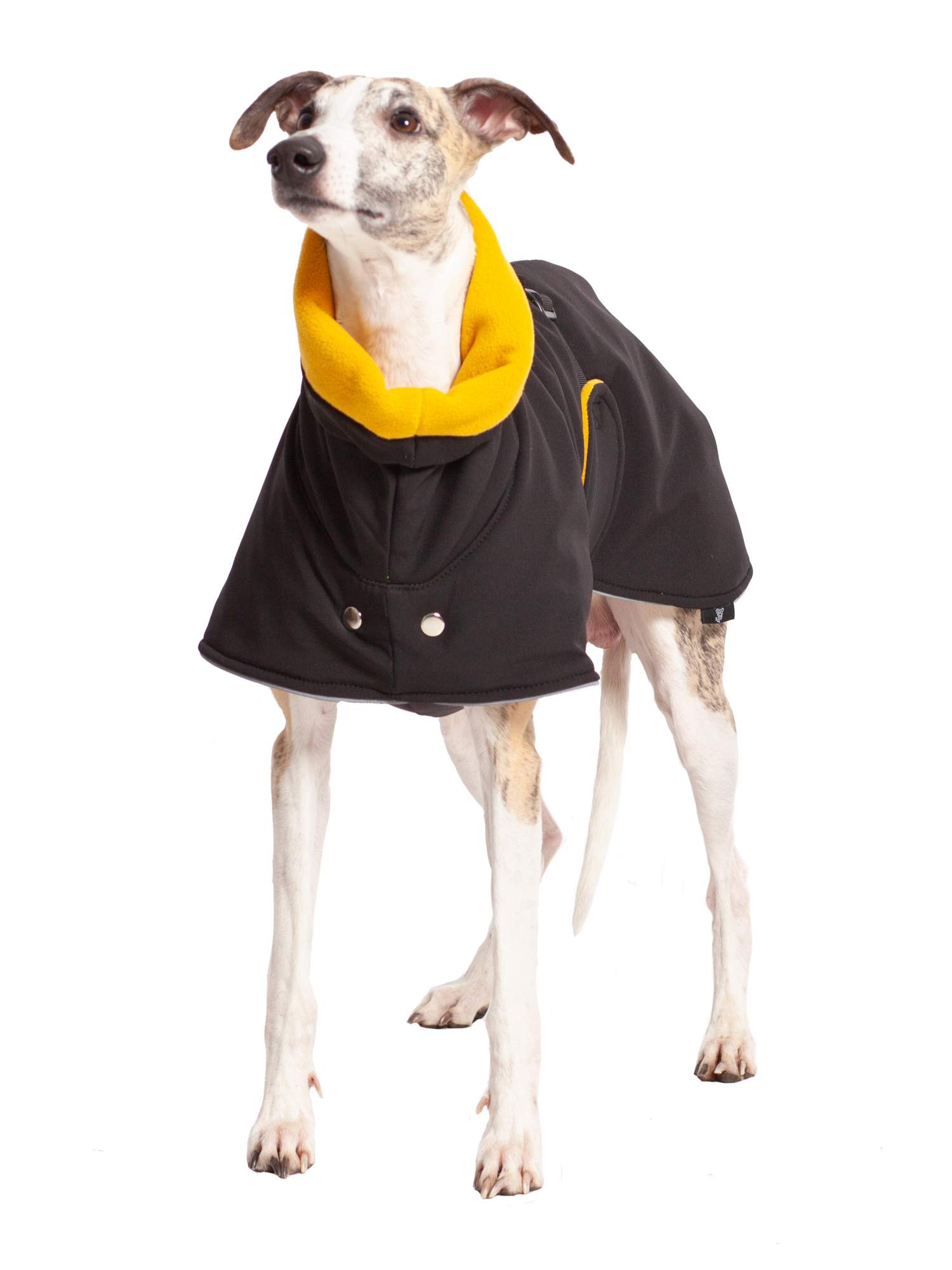 Попона для собак Монморанси, Уиппет, черный, желтый, длина спины 48 см, М2
