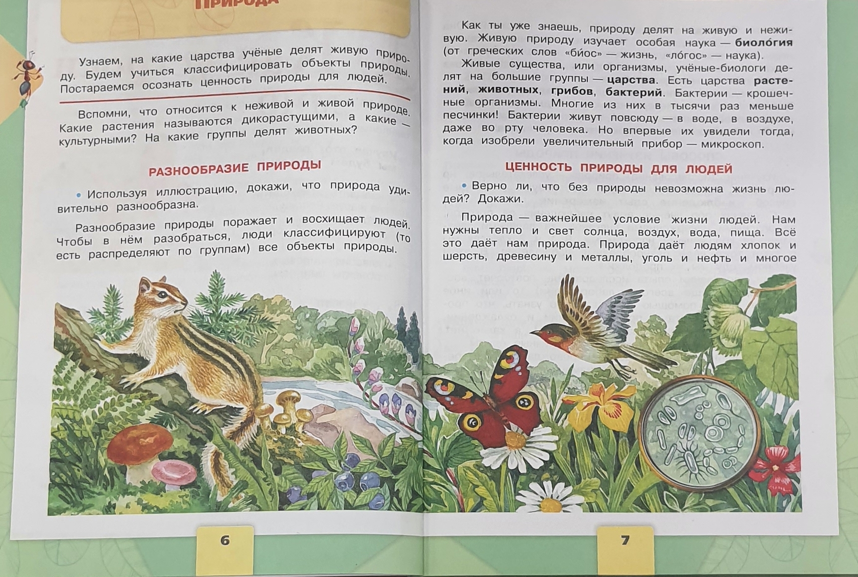 Книга про окружающий мир