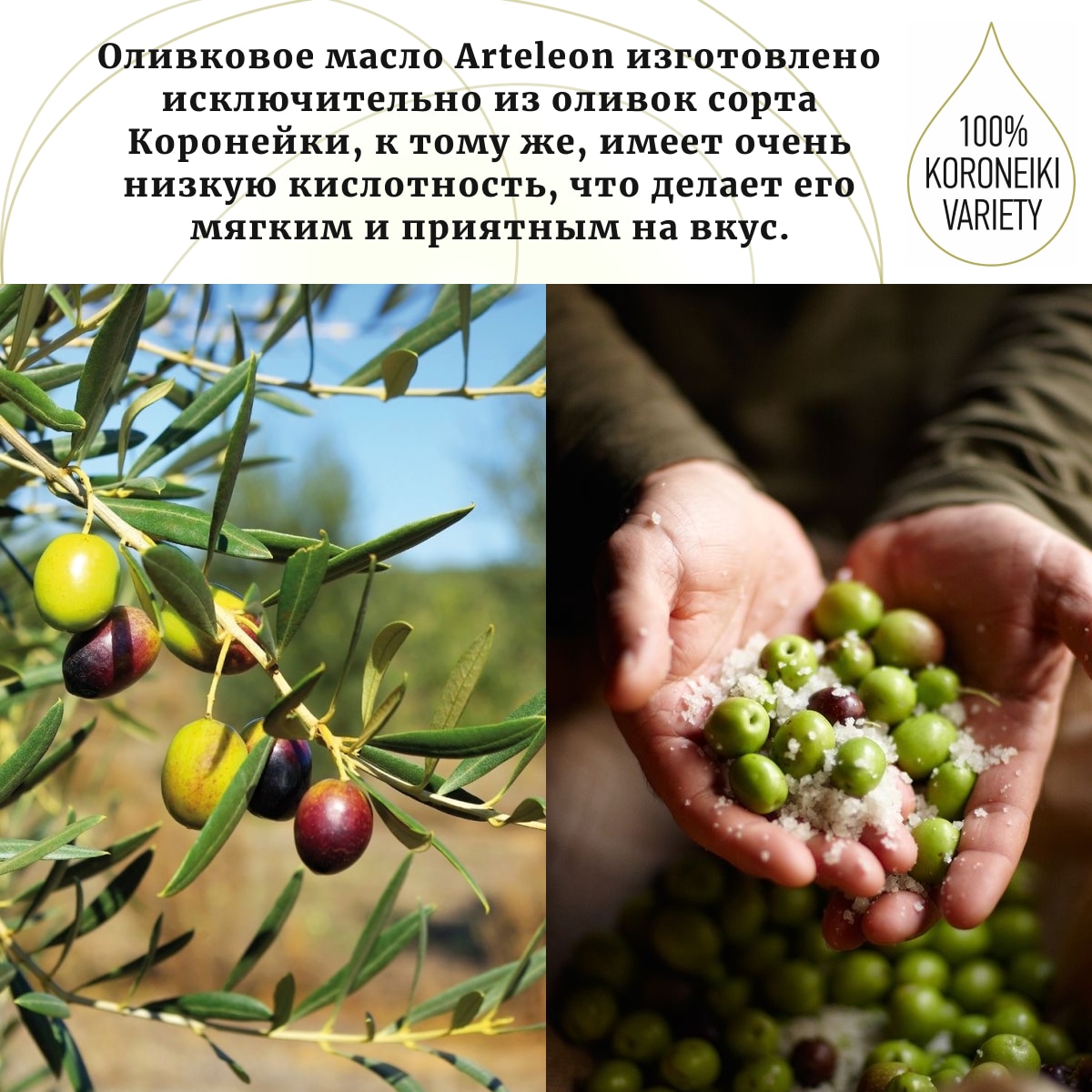 Оригинальное греческое нераф. оливковое масло первого отжима Arteleon Extra Virgin 750 мл