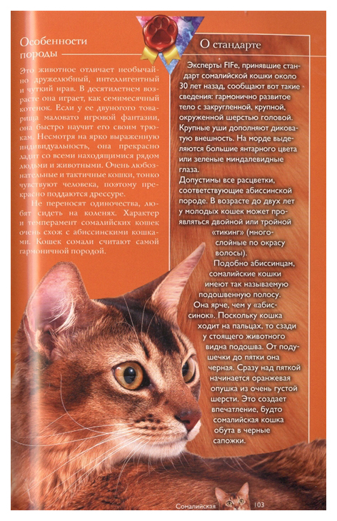 Книга Кошки - купить в Издательство АСТ Москва, цена на Мегамаркет