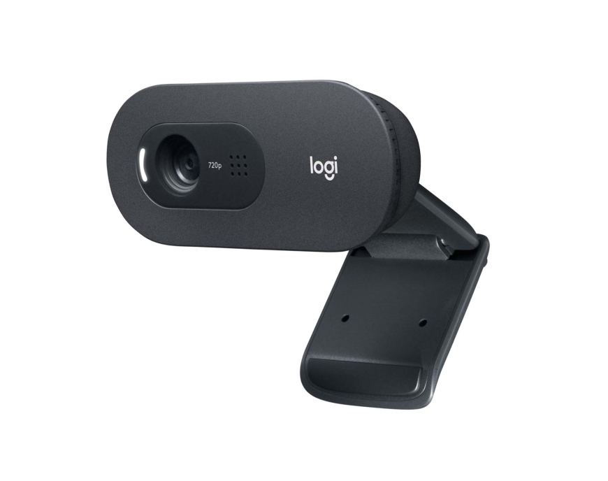 Веб-камера Logitech C505 Black (960-001364)
