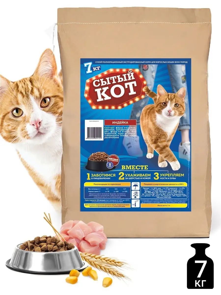 Сытый кот кемерово