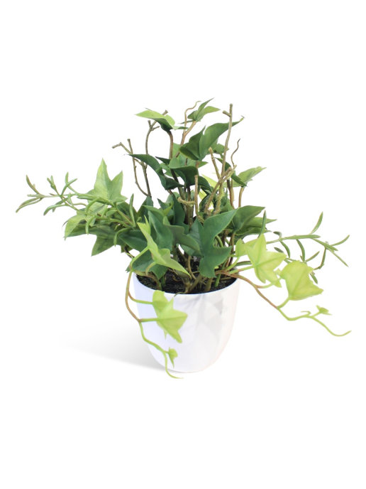 Искусственное растение Английский плющ Gerard de ros купить в интернет-магазине, цены на Мегамаркет