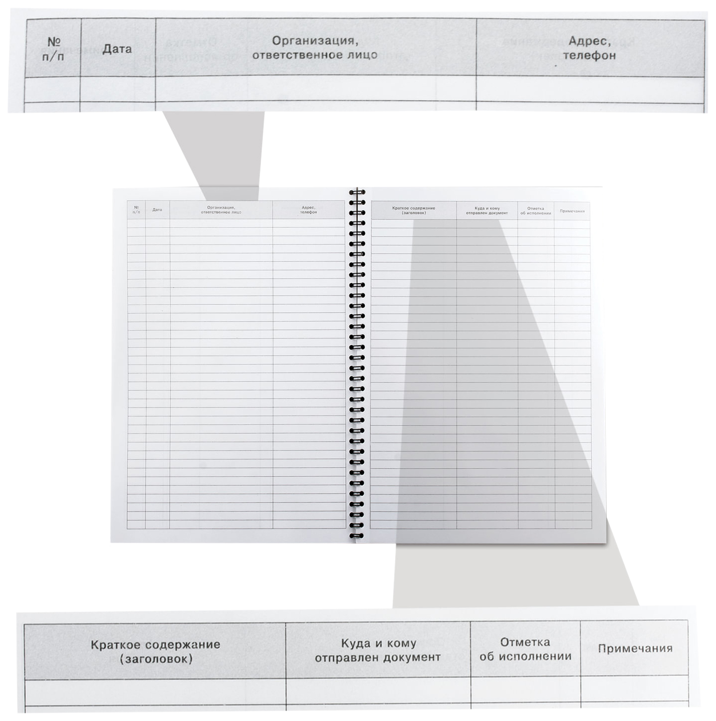 Журнал регистрации документов, 50 л картон, на гребне, А4 204х290 мм, 13с16-50