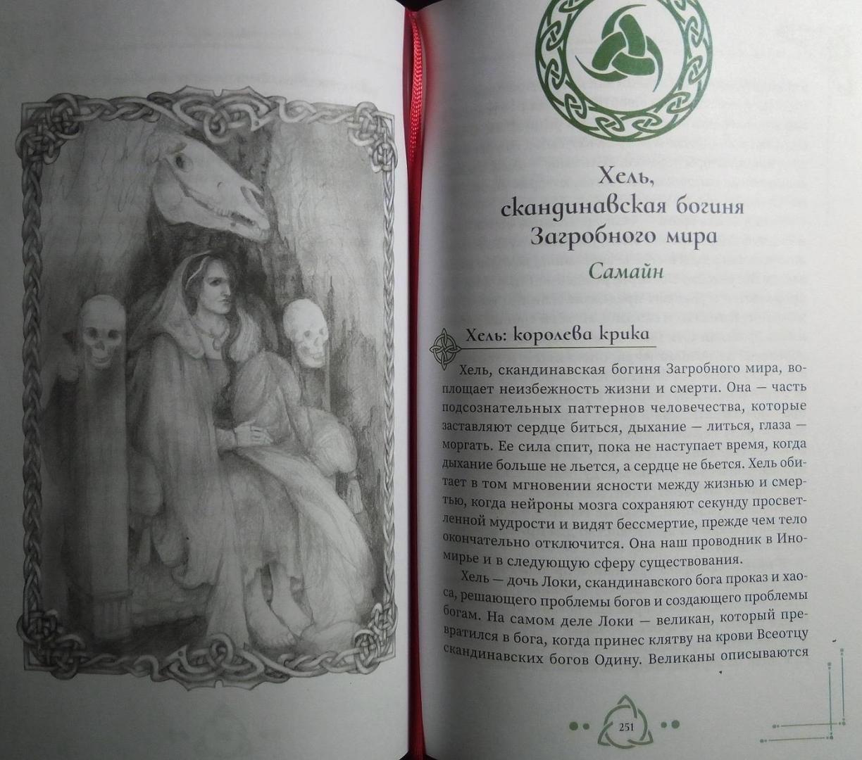 Богиня жива, или Как пригласить кельтских и скандинавских богинь в вашу  жизнь - купить эзотерики и парапсихологии в интернет-магазинах, цены на  Мегамаркет | 16490