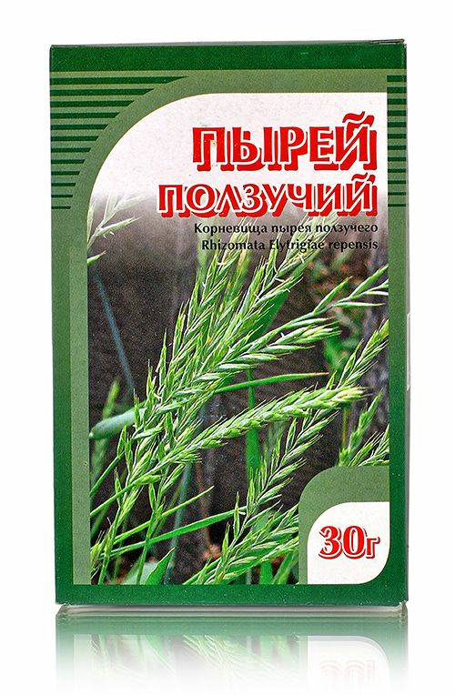 Пырей Семена Купить