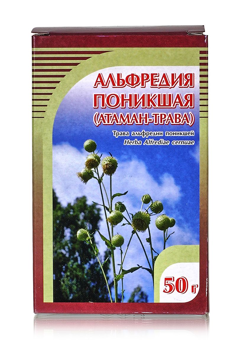 Земли Тюменской Травы Целебные Купить Книгу