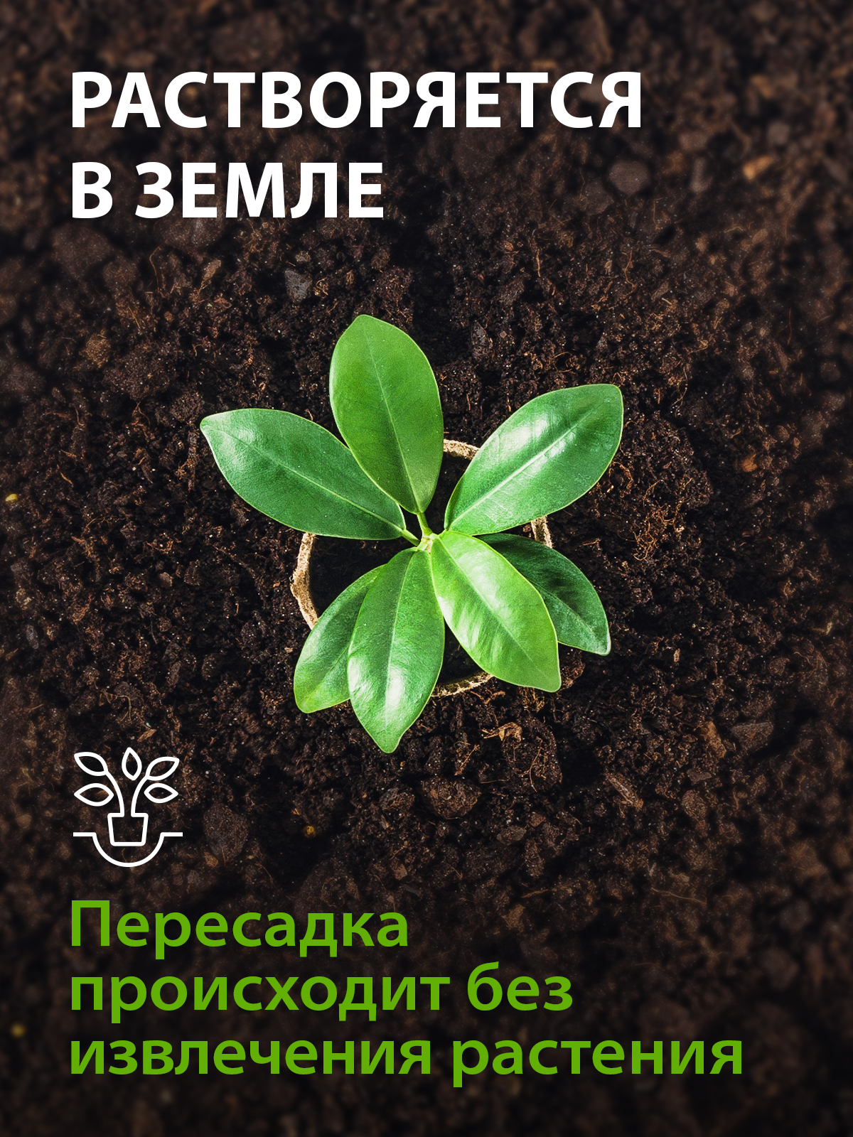 Горшочек для рассады торфяной 80 х 80 мм 5 шт 64364 - купить в Москве, цены  на Мегамаркет | 100028067830