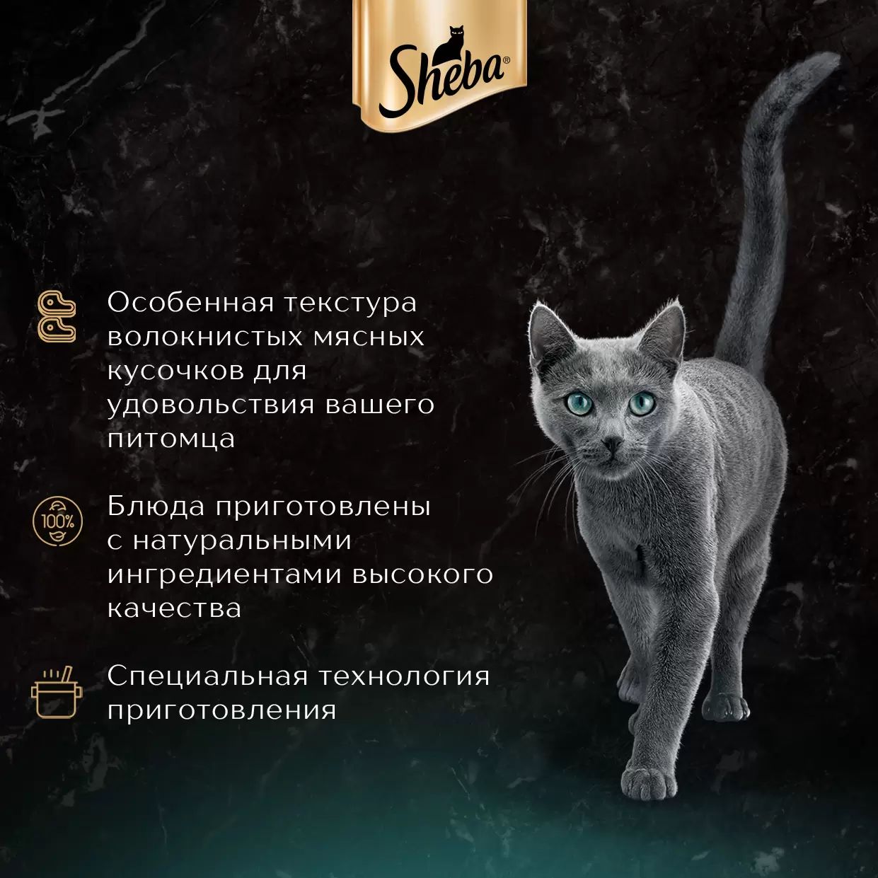 Влажный корм для кошек Sheba Craft Collection, ягненок, 75г - отзывы  покупателей на маркетплейсе Мегамаркет | Артикул товара:100028518755