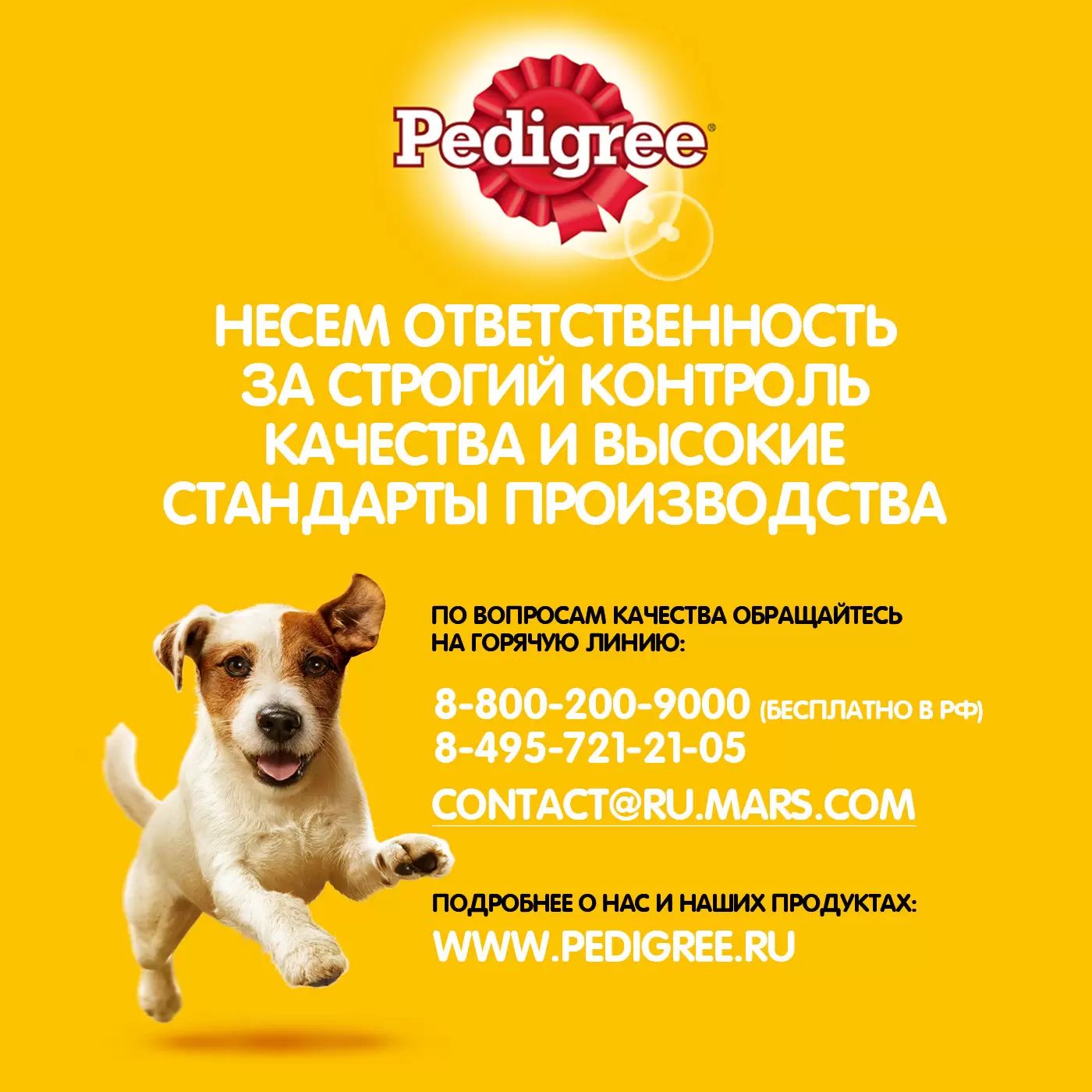 Купить влажный корм для собак Pedigree, кролик, индейка, 85г, цены на  Мегамаркет | Артикул: 100028518841