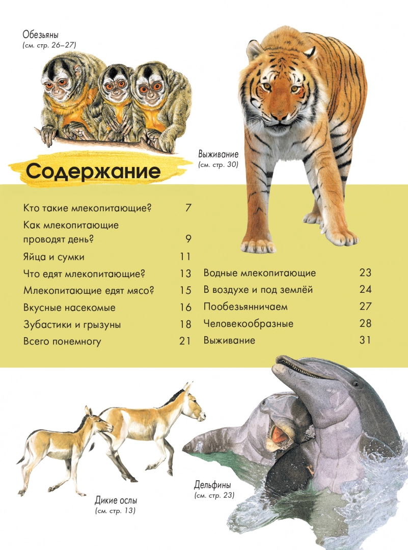 Животные - купить детской энциклопедии в интернет-магазинах, цены на  Мегамаркет | 1282