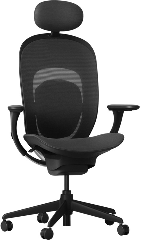 Ортопедическое кресло YMI RTGXY01YM Black YMI Ergonomics Chair (Black)