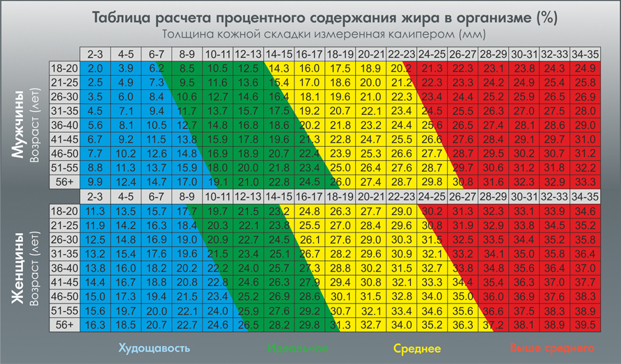 тип телосложения Типы телосложения, Культурист, Советы для фитнеса