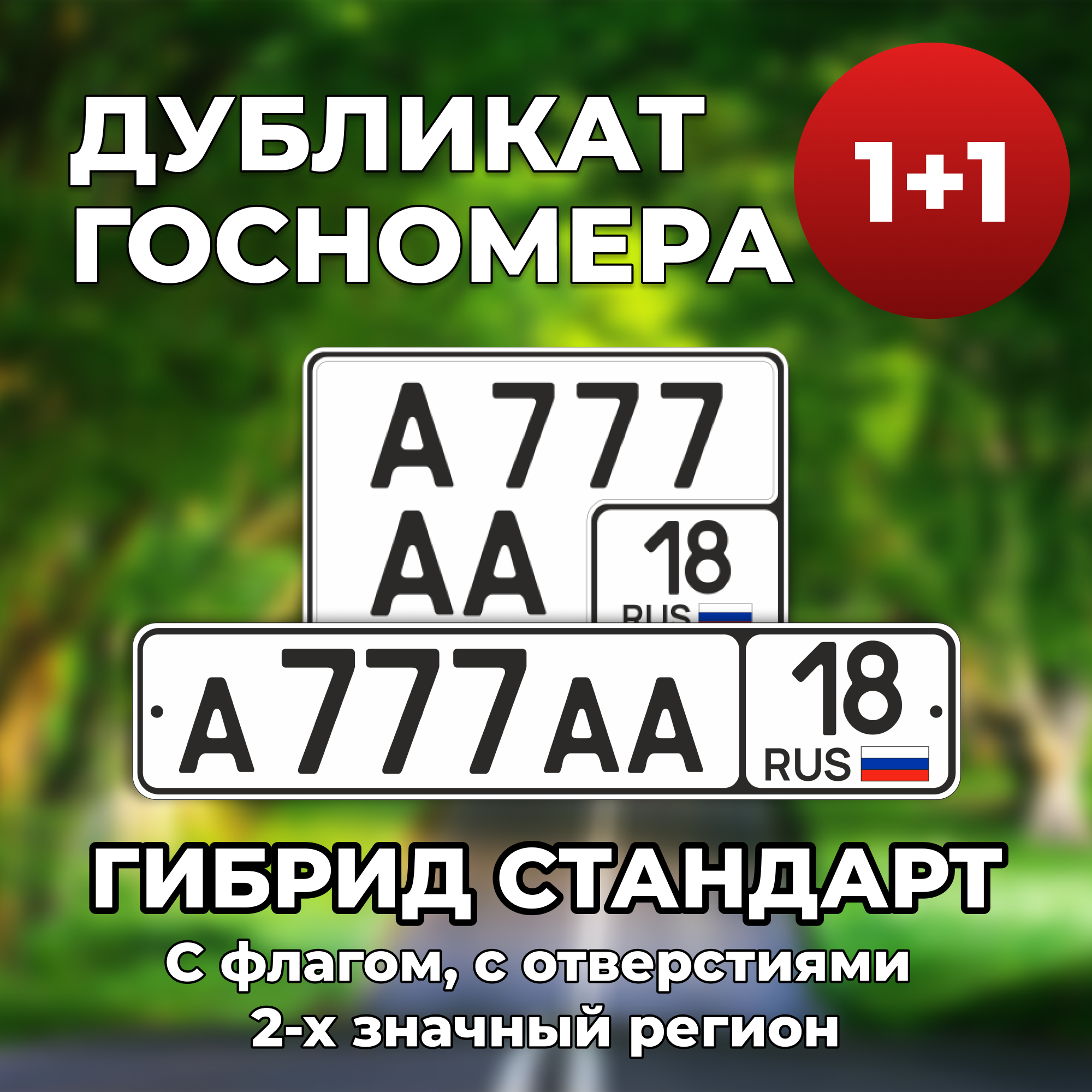 Дубликат госномера тип 3 пример 1 Дубликаты автомобильных номеров заказать