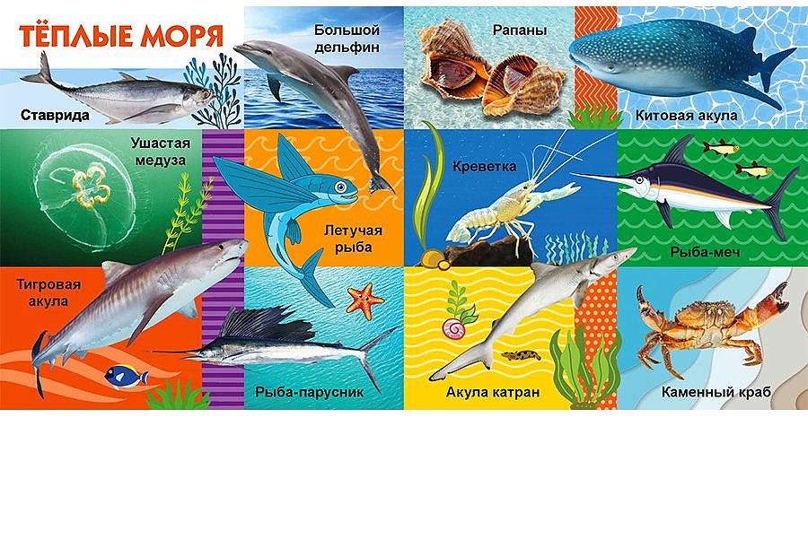 Большая книга моря