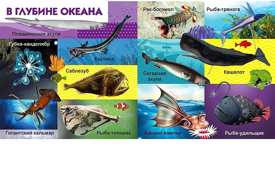 обитатели отзыв