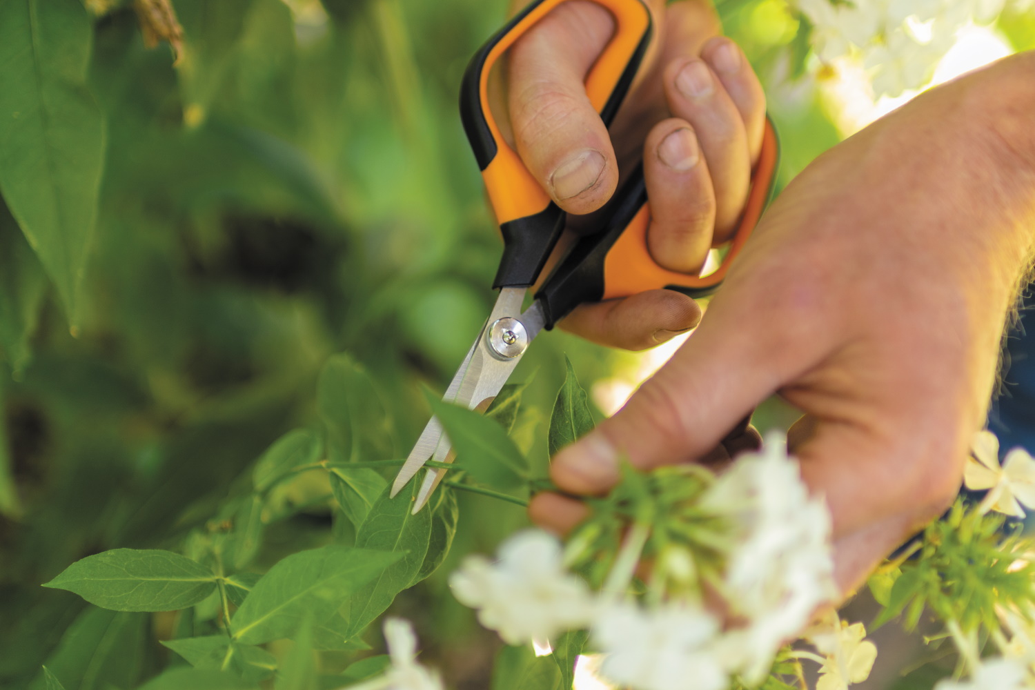 Садовые ножницы для травы Fiskars Solid SP15 1051602