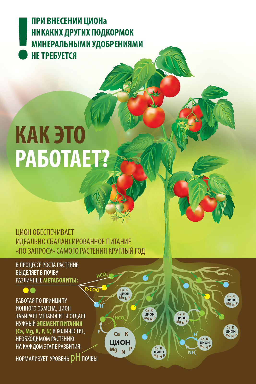 Питательная добавка для растений ZION ЦИОН "Для овощей" для посадки, подкормки 2,3 кг