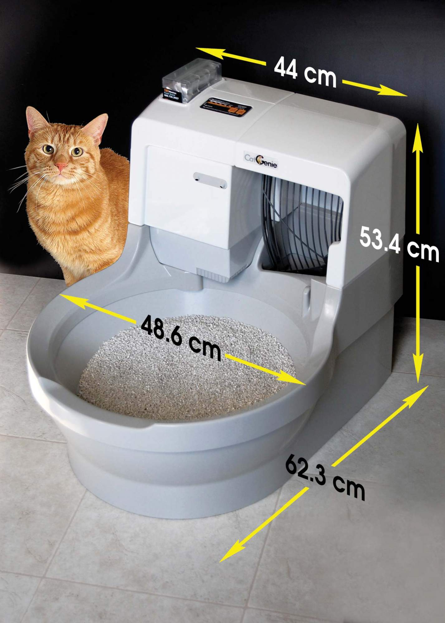 Why Is My Cat Spraying, and How Can I Fix It? Cat litter box, Cat care, Cat beha