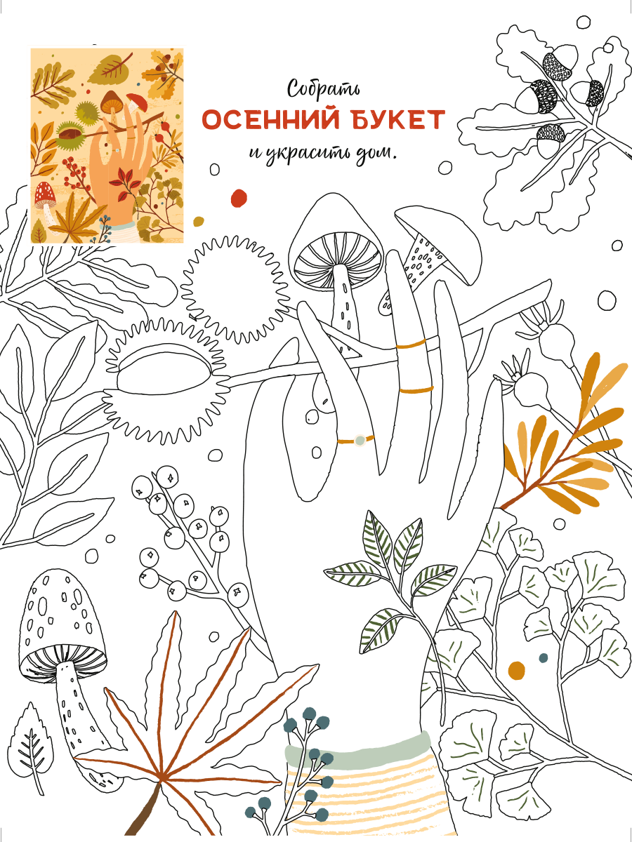 Раскраска Жёлудь Сезоны 001 Hello Autumn (Привет, Осень) – купить в Москве,  цены в интернет-магазинах на Мегамаркет