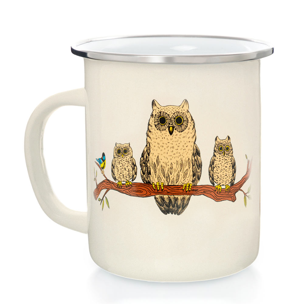 5. 5. Полярная сова меланист. Сова 0. Птицы байкало ленского заповедника.