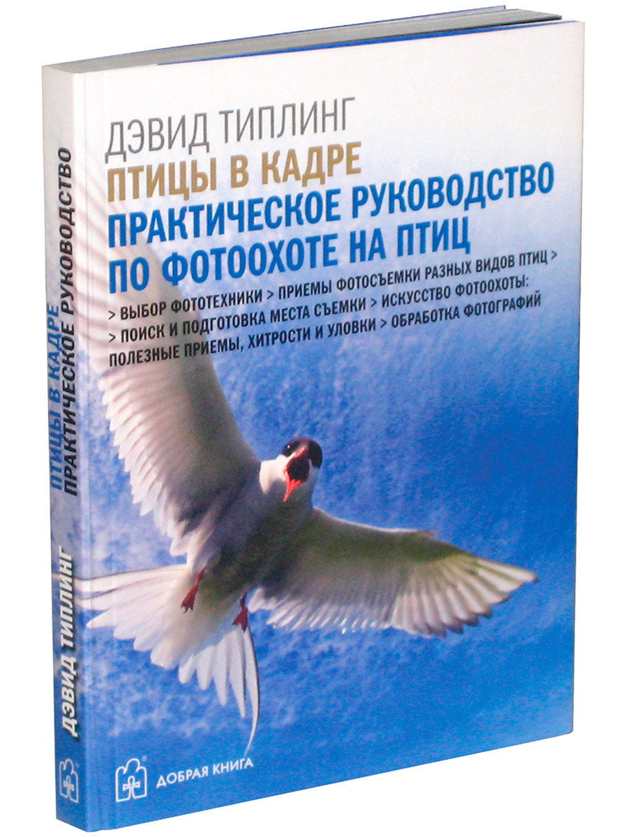 Фотография Практическое Руководство Купить