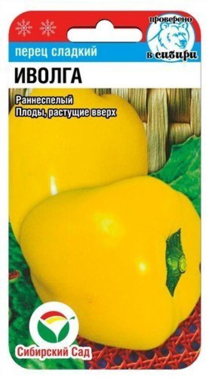 Перец Иволга Фото