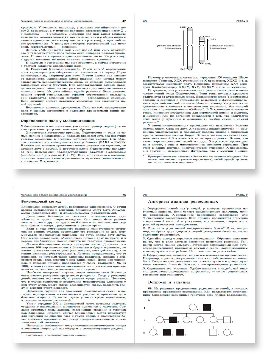 Книга Решение задач по генетике - купить в Торговый Дом БММ, цена на  Мегамаркет