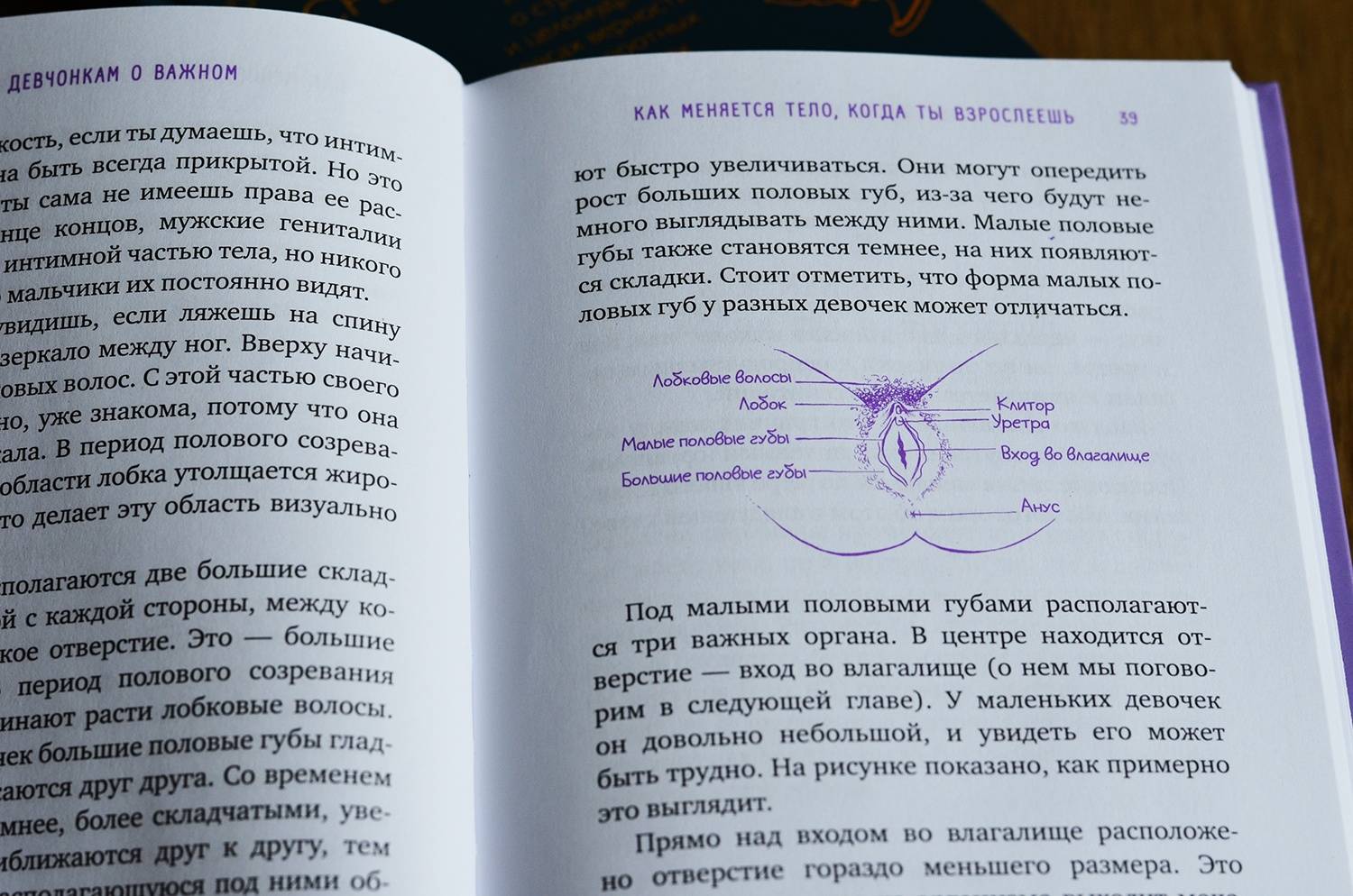 Книга Девчонкам о важном. Все, что ты хотела знать о взрослении, месячных,  отношениях и... - купить детской энциклопедии в интернет-магазинах, цены на  Мегамаркет | 7072