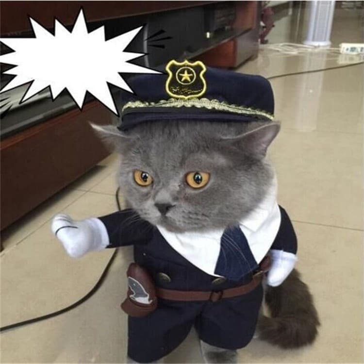 Полицейский кот