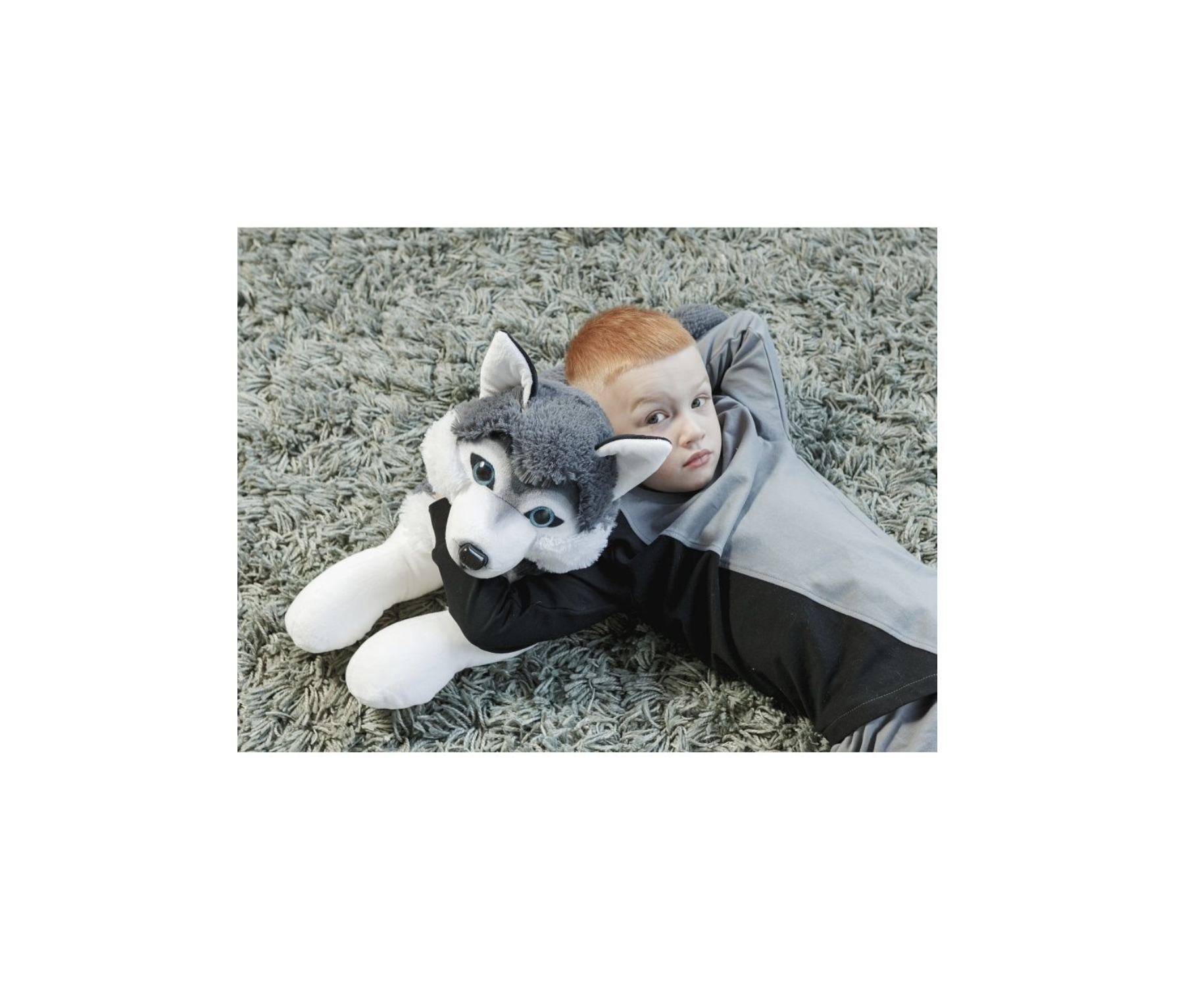 Big husky teddy best sale