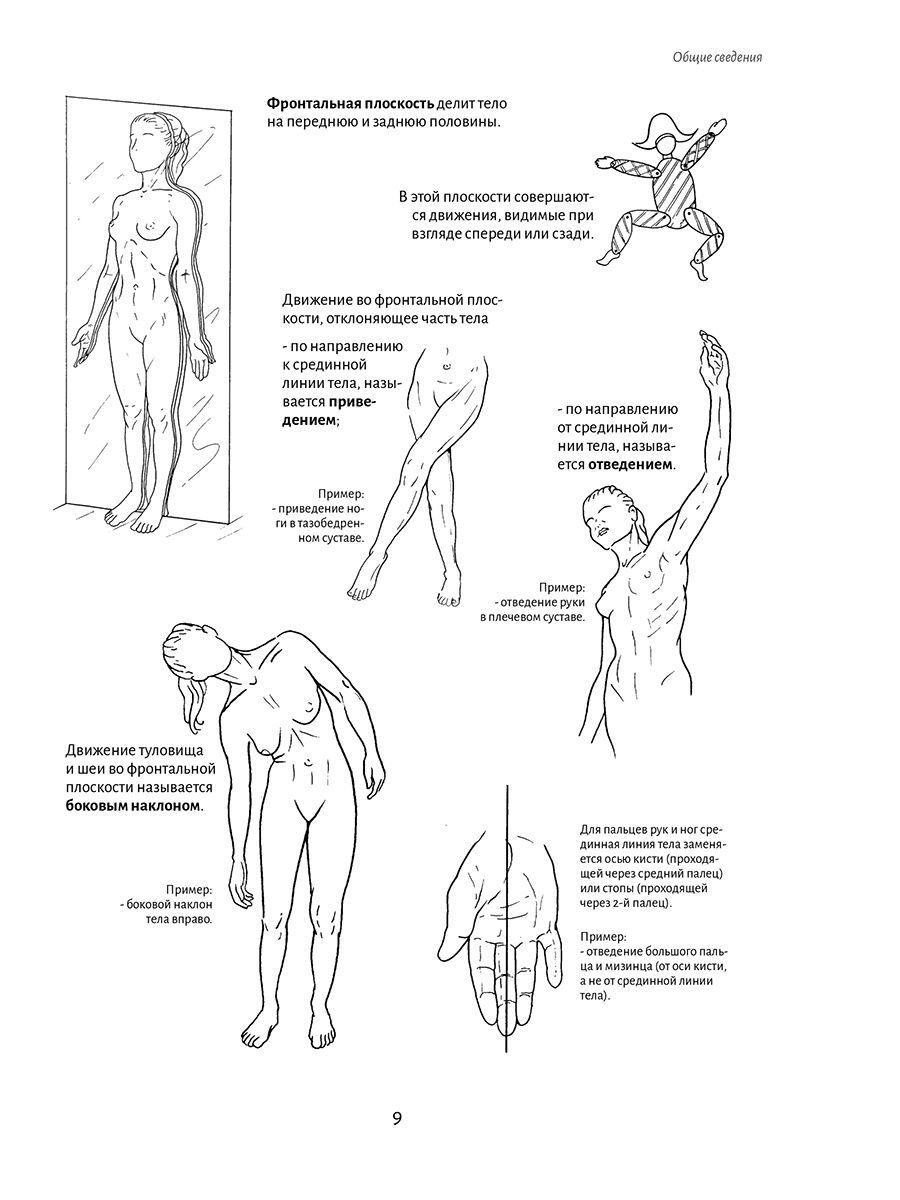 Анатомия красоты. Анатомия красоты Бландин Кале-Жермен. Кале Жермен анатомия движения pdf. Анатомия движения. Человеческое тело. Анатомия движения книга.