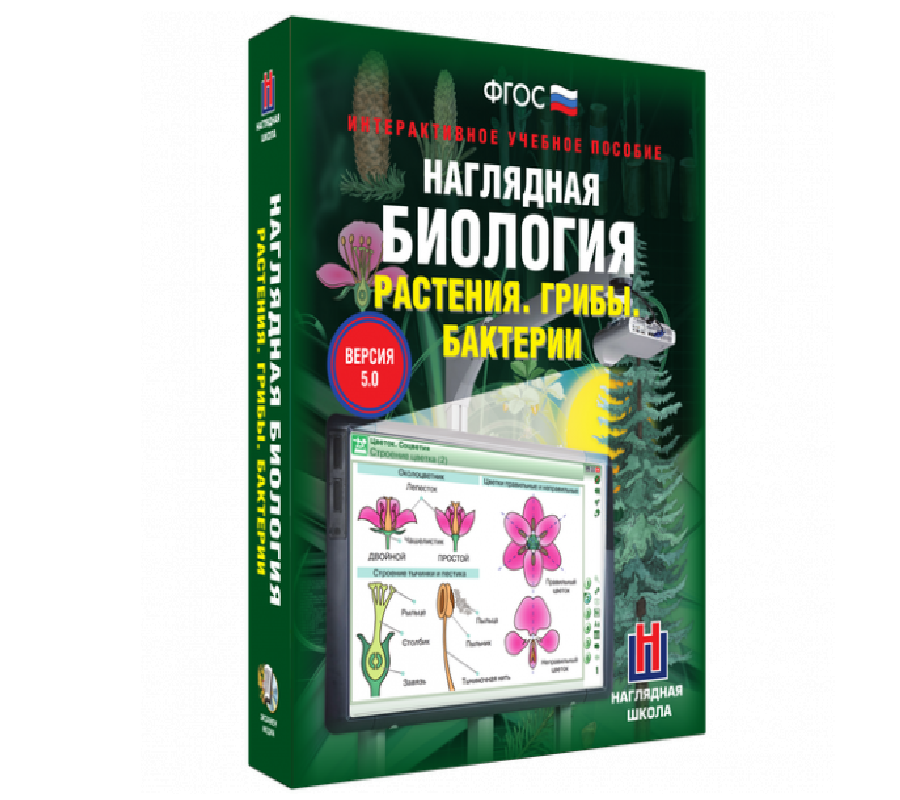 Интерактивное пособие с комплектом таблиц Биология 6 класс. Растения ...