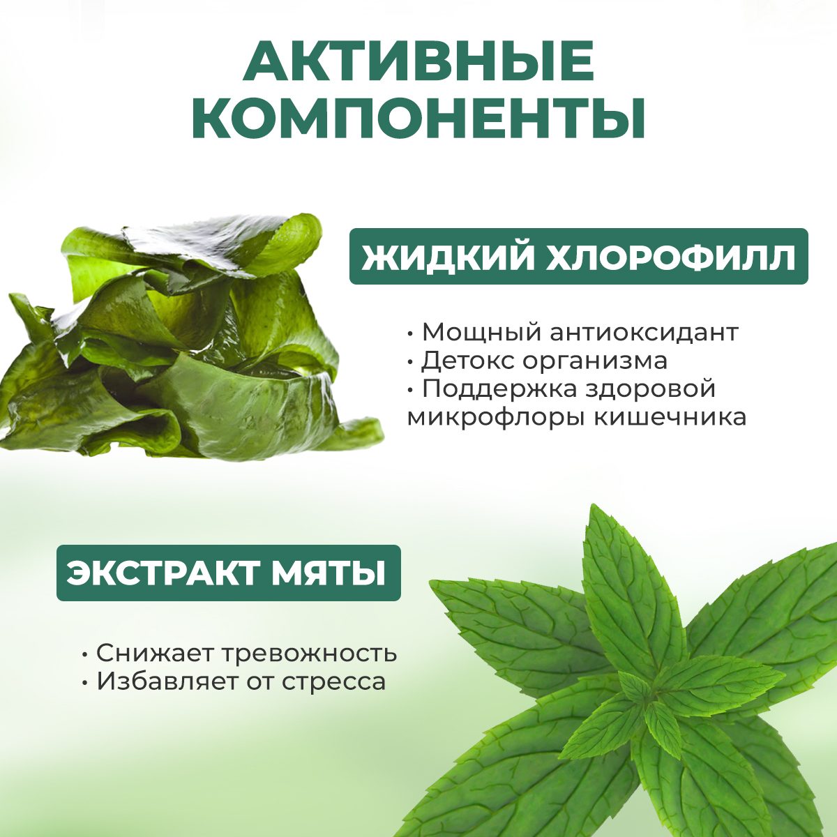 Хлорофилл Био 500 Мл Купить
