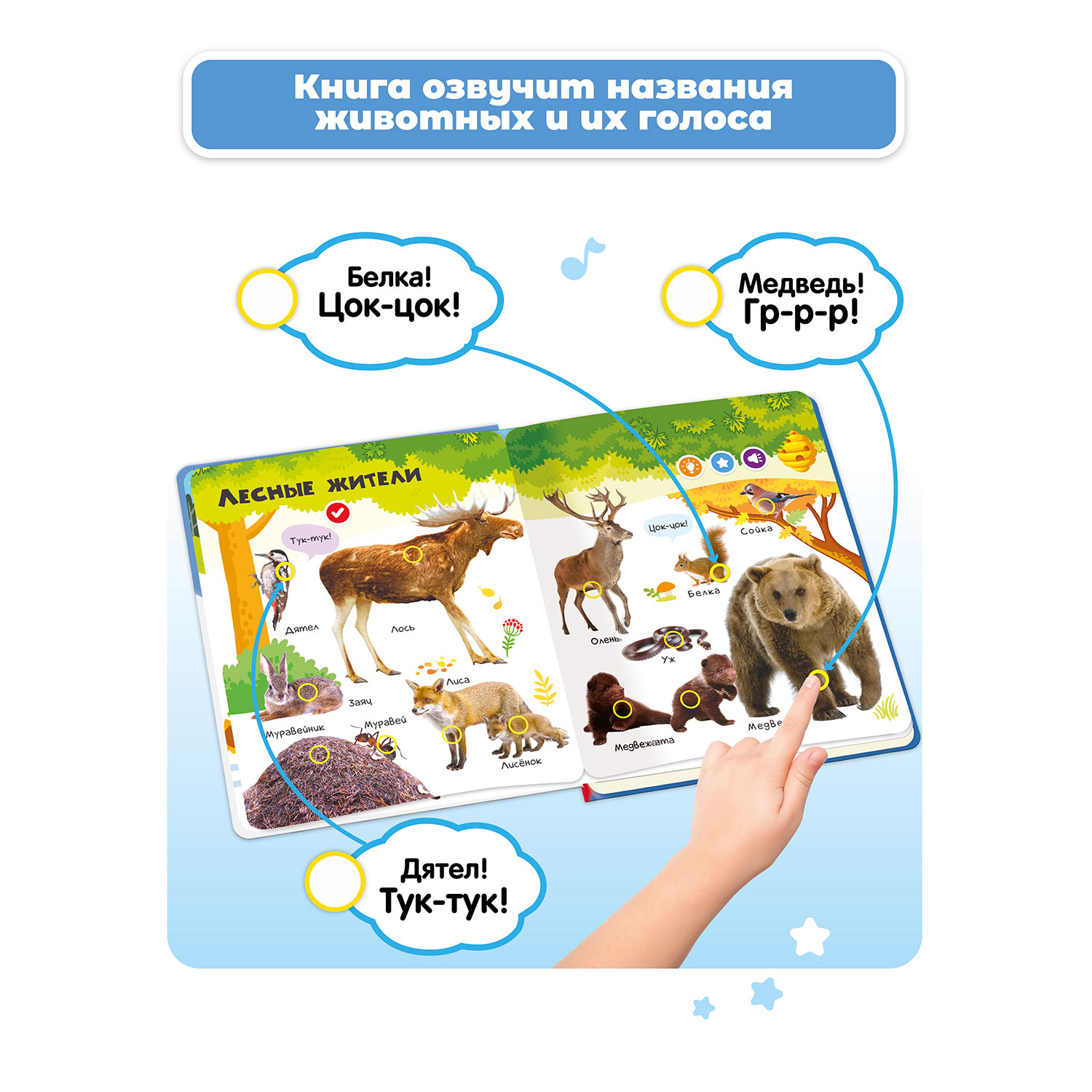 Нажималка для детей. Книга нажималка берт тойс. Berttoys книга нажималка. Книга нажималка. Berttoys книга нажималка.