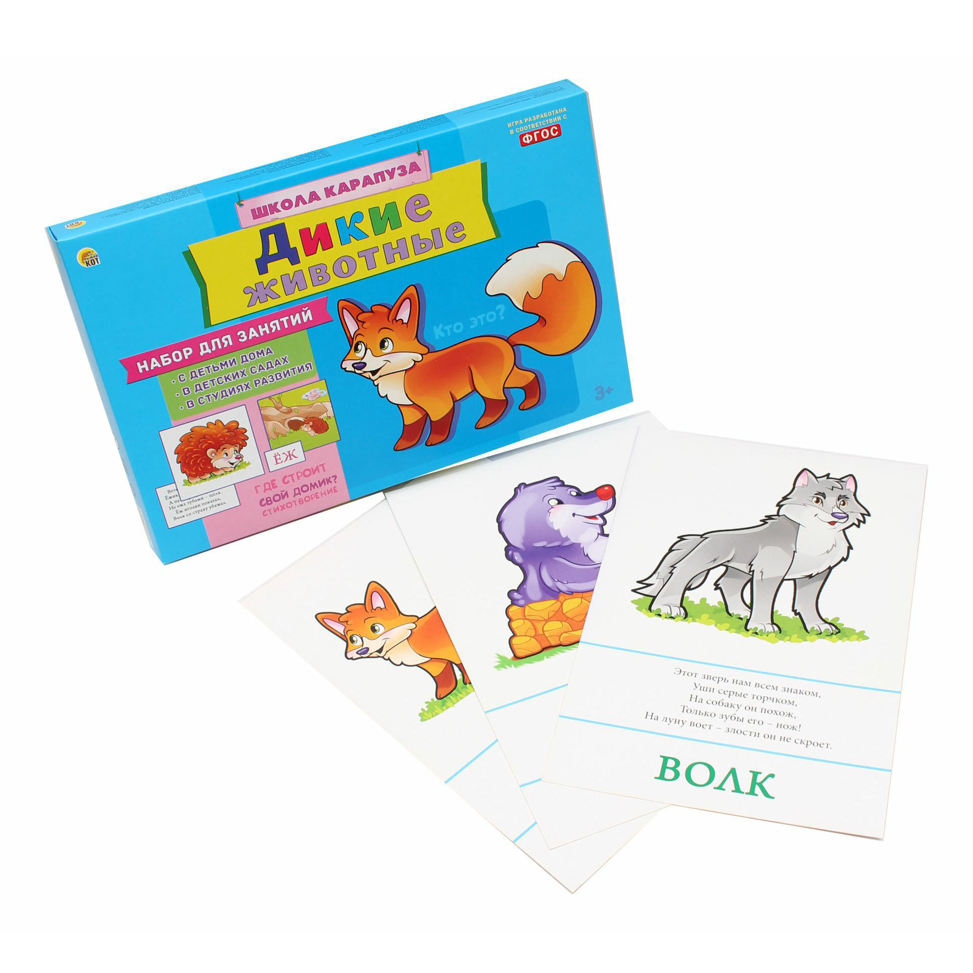 Рыжий кот обучающие карточки. Рыжий кот рисунок. Геодом. Как играть в карточки рыжий кот. Рыжий кот карточки.