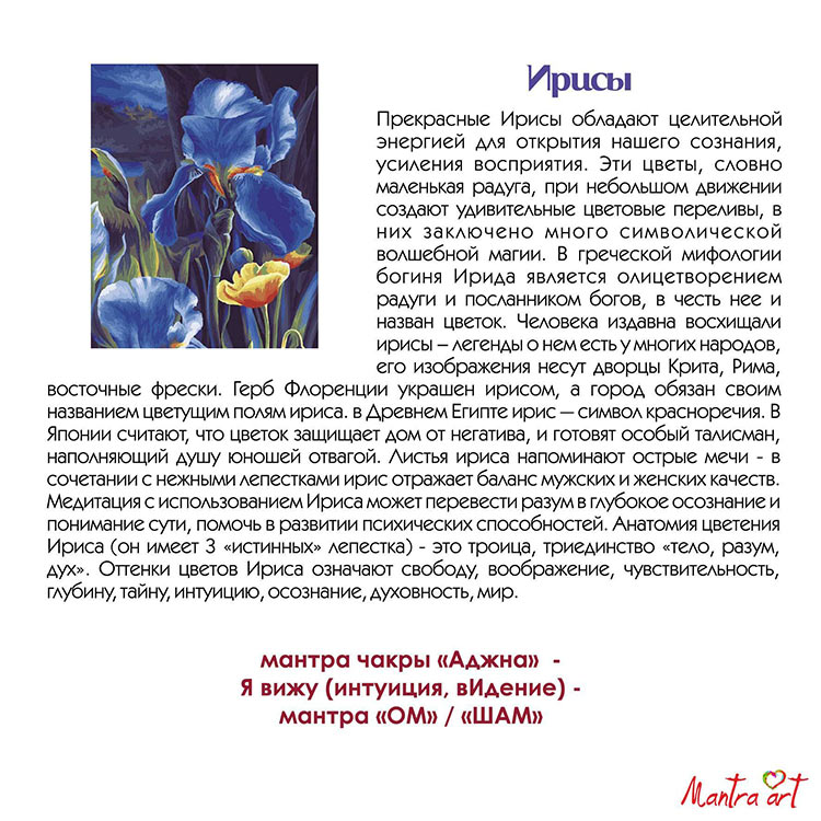 Как снять варн в ирисе. Мантра арт Ирис. Про ирисы высказывания. Ирисы Легенда о цветке. Уровни отношений в ирисе.