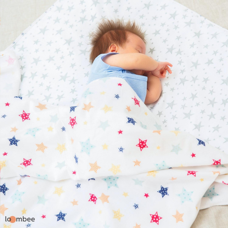 Пеленки детские loombee фланелевые для новорожденных (100x100 см, 2 шт) FS-5214