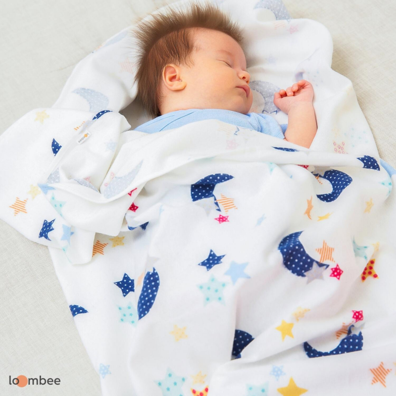 Пеленки детские loombee фланелевые для новорожденных (100x100 см, 2 шт) FS-5214