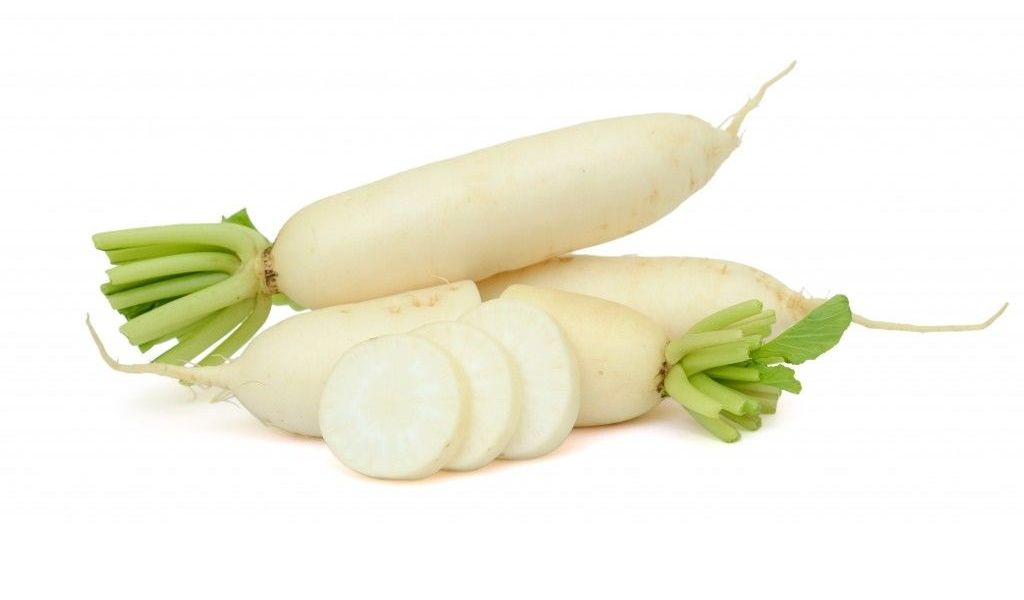 Редиска белая длинная. Редька дайкон. Редис дайкон и редька. Дайкон овощ (редька). Редька, брюква, дайкон
