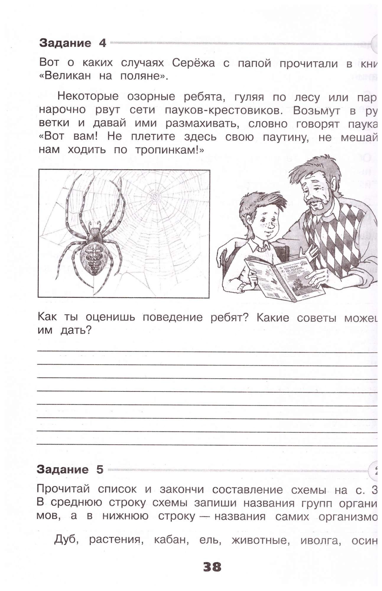 Окружающий мир. 4 класс. Проверочные работы. Школа России - купить в  Юмаркет, цена на Мегамаркет