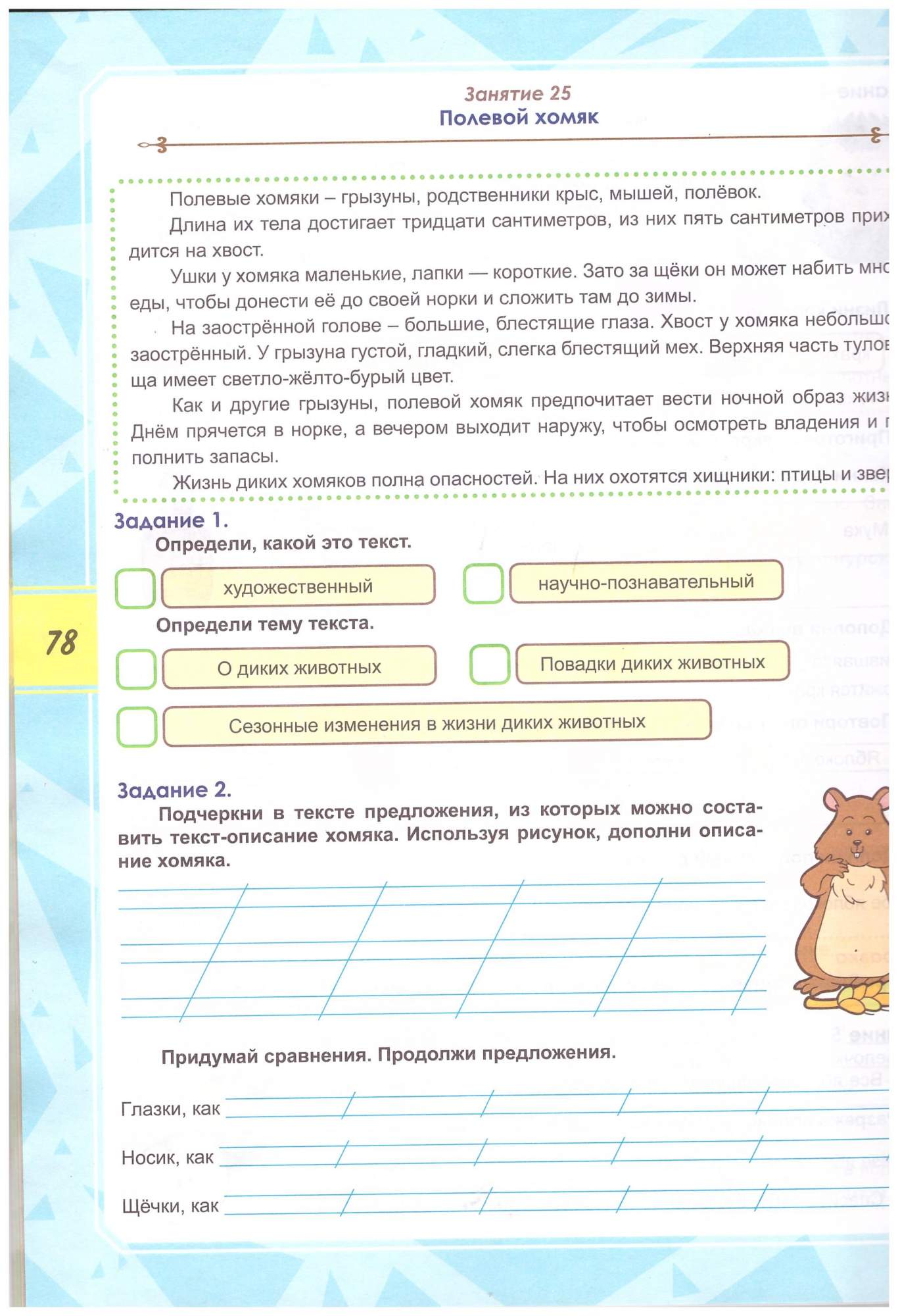 Функциональная грамотность 2 класс. Тренажер для школьников - купить  учебника 2 класс в интернет-магазинах, цены на Мегамаркет | 9785907392199