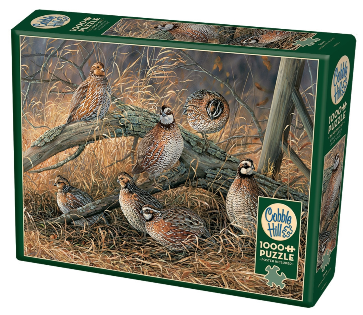 Пазлы castorland 2000. Пазлы классика. Пазл clementoni лавка старых игрушек. Пазлы clementoni museum collection. Вид окрестностей альбано близ рима лебедев.