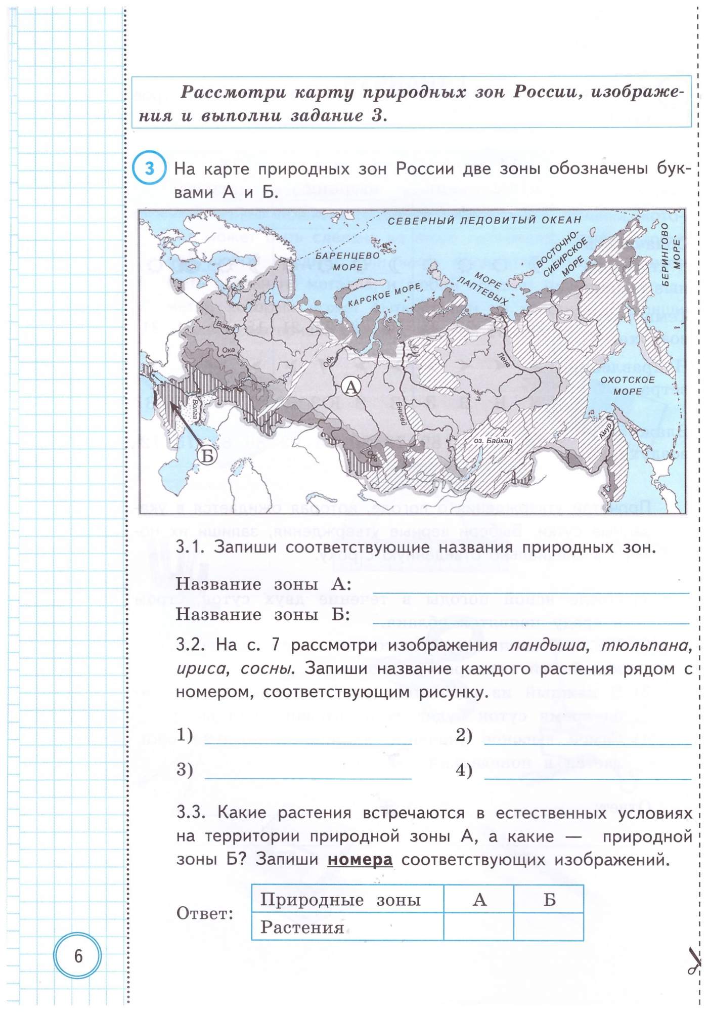 Впр Волкова Окружающий Мир Купить