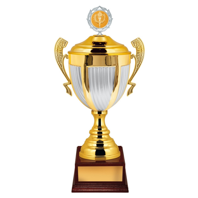 Как называется кубок. Кубок sr 8301/2. Кубок 1 место. Кубок в виде педали. Игрушечный кубок.