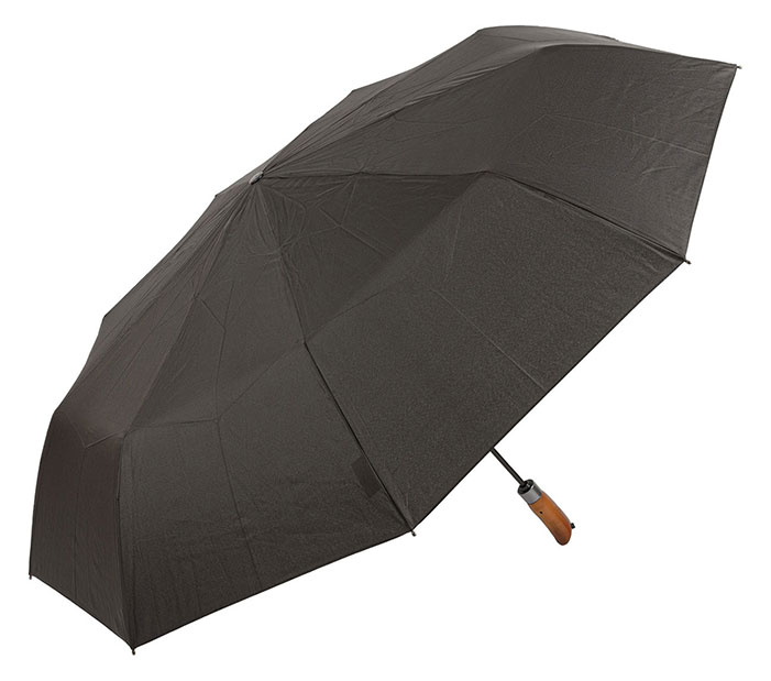 Зонт мужской Sponsa 3513-SCBW-M черный