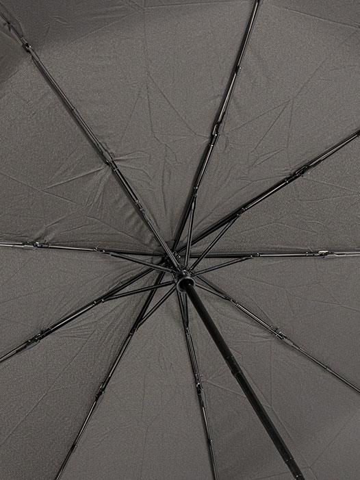 Зонт мужской Sponsa 3513-SCBW-M черный